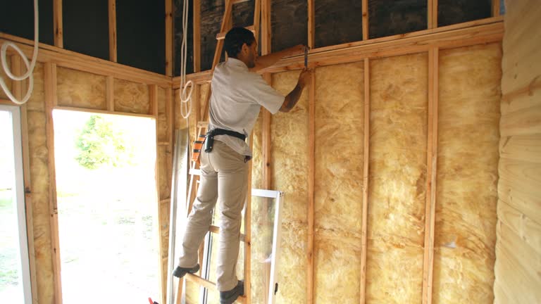 Best Radiant Barrier Insulation  in White Hall, IL